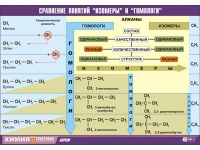Таблица демонстрационная "Сравнение понятий изомер и гомолог" (винил 100х140) - «globural.ru» - Красноярск