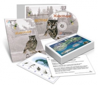 Комбинированное наглядное пособие «Животные» - «globural.ru» - Красноярск
