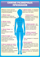 Стенд "Снятие мерок" (вариант 2) - «globural.ru» - Красноярск