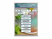 Стенд "Схема приготовления мясных котлет" - «globural.ru» - Красноярск