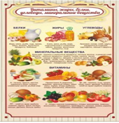 Стенд "Витамины, жиры, белки" - «globural.ru» - Красноярск