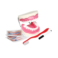 Игровой комплект "Чистим зубы" - «globural.ru» - Красноярск