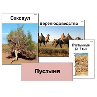 Модель-аппликация "Природные зоны России" - «globural.ru» - Красноярск