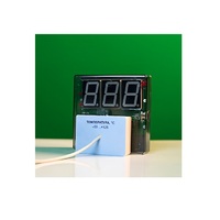 Датчик температуры с независимой индикацией (термометр демонстрационный) - «globural.ru» - Красноярск