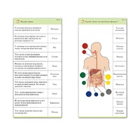 Комплект карточек (10) "Обучающий калейдоскоп. Человек" - «globural.ru» - Красноярск