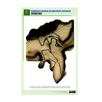 Рельефная таблица "Археоптерикс" (формат А1, матовое ламинир.) - «globural.ru» - Красноярск