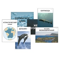 Модель-аппликация "Океаны. Знакомство" (ламинированная) - «globural.ru» - Красноярск
