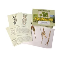 Гербарий "Систематика растений. Семейство Бобовые. Злаки" (раздаточный) - «globural.ru» - Красноярск