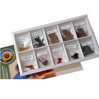 Коллекция "Плоды сельскохозяйственных растений" (вариант 2) - «globural.ru» - Красноярск