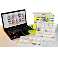 Коллекция натурально-интерактивная "Пластмассы" - «globural.ru» - Красноярск