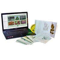 Гербарий натурально-интерактивный "Лекарственные растения" - «globural.ru» - Красноярск