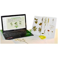 Гербарий натурально-интерактивный "Морфология растений" - «globural.ru» - Красноярск