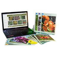 Гербарий натурально-интерактивный "Основные группы растений. Грибы. Лишайники" - «globural.ru» - Красноярск