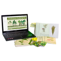 Гербарий натурально-интерактивный "Растительные сообщества. Лес" - «globural.ru» - Красноярск