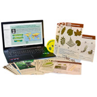Гербарий натурально-интерактивный к курсу основ общей биологии - «globural.ru» - Красноярск