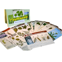 Гербарий к курсу основ общей биологии - «globural.ru» - Красноярск