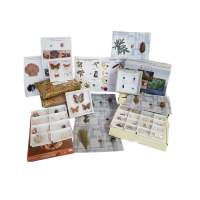 Комплект коллекций демонстрационный - «globural.ru» - Красноярск