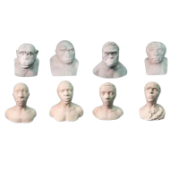 Набор палеонтологических муляжей - «globural.ru» - Красноярск