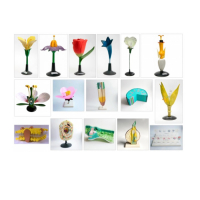 Комплект ботанических моделей демонстрационный - «globural.ru» - Красноярск