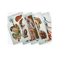 Таблицы рельефные - «globural.ru» - Красноярск