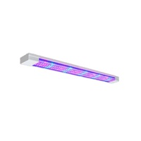 Фитолампа - «globural.ru» - Красноярск