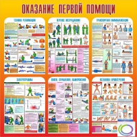 Стенд "Оказание первой помощи" - «globural.ru» - Красноярск
