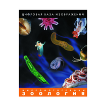 Зоология. Микрофотографии. (Цифровая база изображений) - «globural.ru» - Красноярск