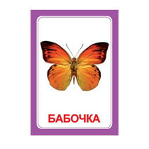Логопедка "Ч" (логопедические карточки) - «globural.ru» - Красноярск