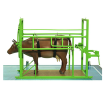 Наглядный макет «Методы и устройства для фиксации КРС» - «globural.ru» - Красноярск