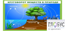 Стенд "Круговорот веществ" - «globural.ru» - Красноярск