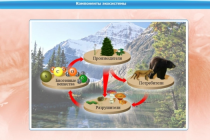 Интерактивные курсы. Биология 7 класс. Базовый - «globural.ru» - Красноярск
