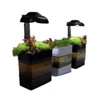 Учебная установка "Аквапоника"  - «globural.ru» - Красноярск