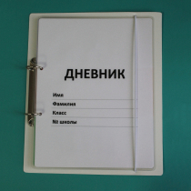 Дневник школьника (с полным набором карточек) - «globural.ru» - Красноярск