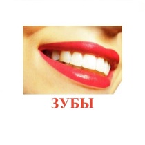 Карточки Домана "Части тела" - «globural.ru» - Красноярск