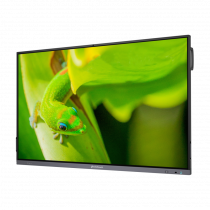 Интерактивный программно-аппаратный комплекс Geckotouch Interactive IP75GT-C в комплекте с настенным креплением - «globural.ru» - Красноярск