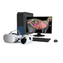 Макет масштабный "Скелет кошки" Масштаб 1:1 - «globural.ru» - Красноярск