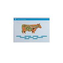 Стенд-планшет светодинамический "Изучение нервной системы сельскохозяйственных животных" со сменными панелями - «globural.ru» - Красноярск