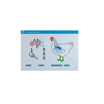 Стенд-планшет светодинамический "Изучение органов дыхания сельскохозяйственных животных" со сменными панелями - «globural.ru» - Красноярск