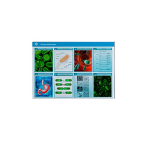 Стенд-планшет светодинамический «Изучение экологии бактерий» - «globural.ru» - Красноярск