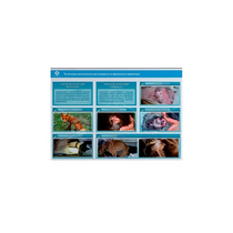 Стенд-планшет светодинамический "Изучение типических патологических процессов в организмах животных" - «globural.ru» - Красноярск