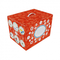 Набор для конструирования программируемых роботов, кибернетических систем и интернета вещей с одноплатным мини-компьютером - «globural.ru» - Красноярск