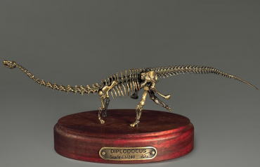 Модель скелета динозавра Diplodocus (вариант 1) - «globural.ru» - Красноярск