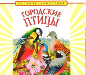 CD "Аудиоэнциклопедия. Городские птицы" - «globural.ru» - Красноярск