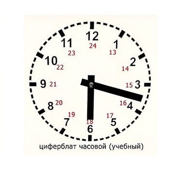 Часовой циферблат раздаточный - «globural.ru» - Красноярск