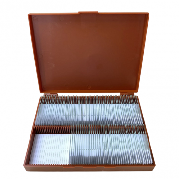 Комплект микропрепаратов по анатомии, ботанике, зоологии, общей биологии - «globural.ru» - Красноярск