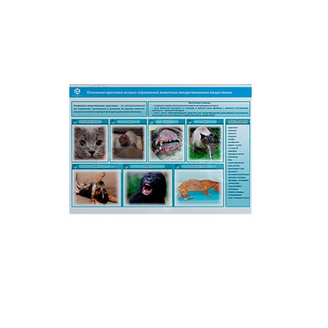 Стенд-планшет светодинамический «Острые отравления животных лекарственными препаратами» - «globural.ru» - Красноярск